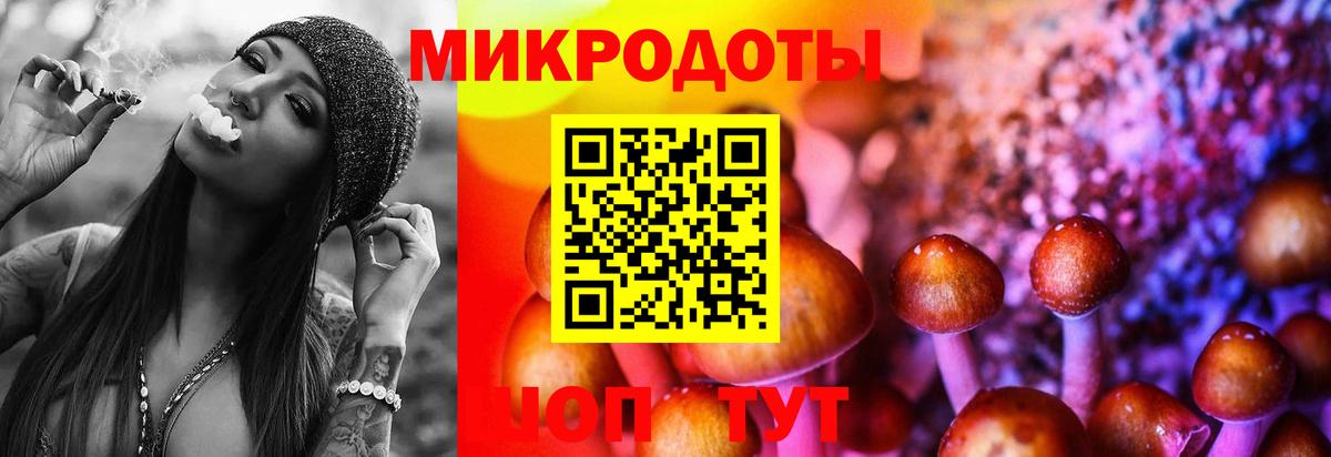 Елабуга  Галлюциногенные грибы Psilocybine cubensis  Вход с VPN 